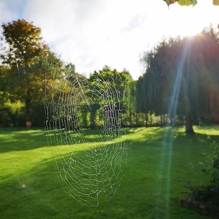 Gîte du Château d’Hardelot à Condette Esterno foto