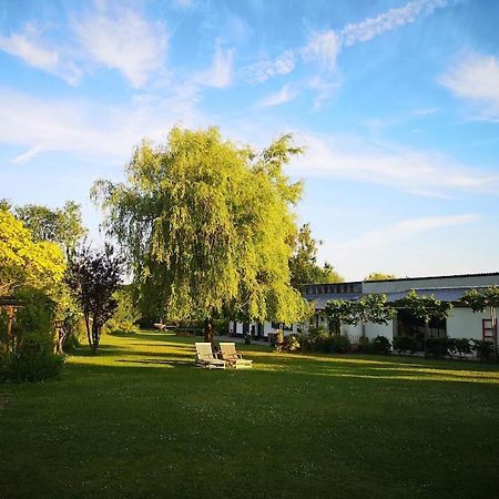 Gîte du Château d’Hardelot à Condette Esterno foto